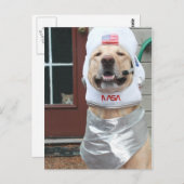 Ich Wollte, Bilder zu machen Postkarte (Vorne/Hinten)