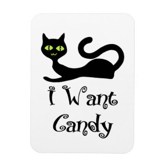 Ich Wollte Candy Cat Magnet