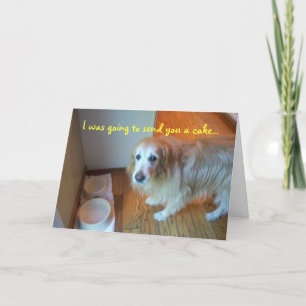 Ich wollte dir einen Kuchen schicken... Karte