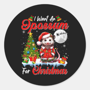 Ich Wollte ein Opossum für Weihnachten Niedlichen  Runder Aufkleber