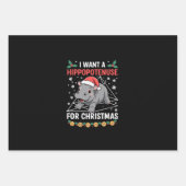 Ich Wollte einen Hippopotenuse für Mathematiklehre Geschenkpapier Set (Vorderseite)