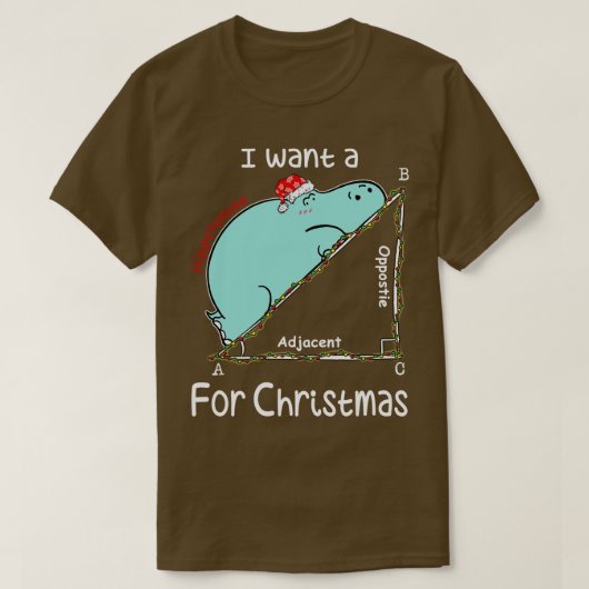 Ich Wollte einen Hippopotenuse für Weihnachten T-Shirt (Design vorne)