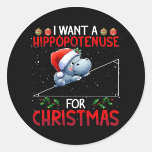 Ich Wollte einen Hippotenuse für Weihnachtslehrer Runder Aufkleber