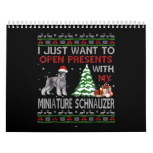 Ich Wollte einfach, Geschenke mit meinem Miniaturs Kalender