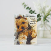 Ich Wollte gerade zu Snuggle Yorkie Postkarte (Stehend Vorderseite)
