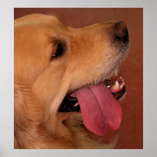 Ich Wollte noch mehr... Poster (Vorne)