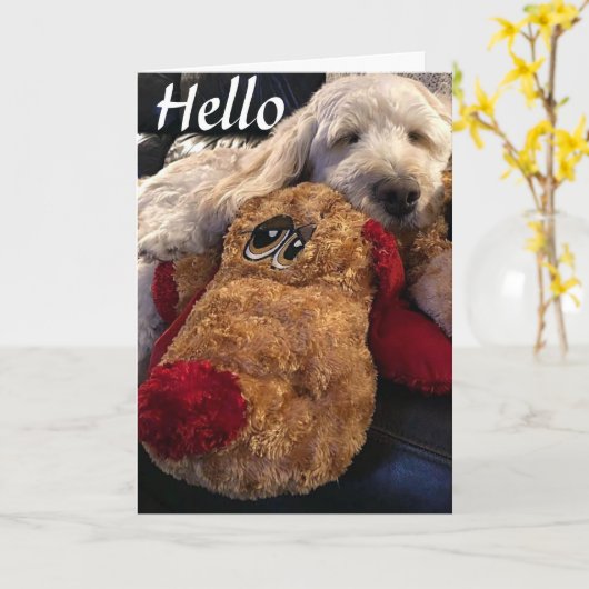 **ICH WOLLTE NUR, IHNEN EINFACH DIE WICHTIGSTEN ZU KARTE (Gelbe Blume)