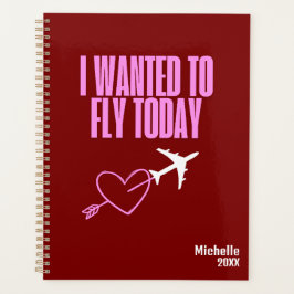 Ich wollte zu Fly Today, Heart & Airplane, Hot Pin Planer