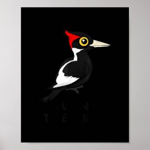 Ich Wollte zu glauben, Elfenbeinspecht Birdorab Poster