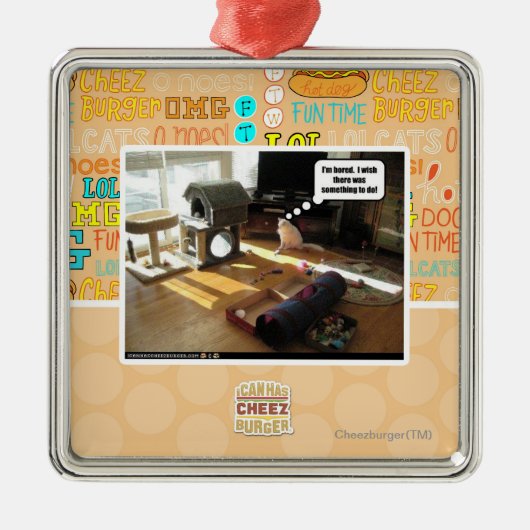 Ich wünsche, dass es etwas gab zu tun silbernes ornament (Vorne)