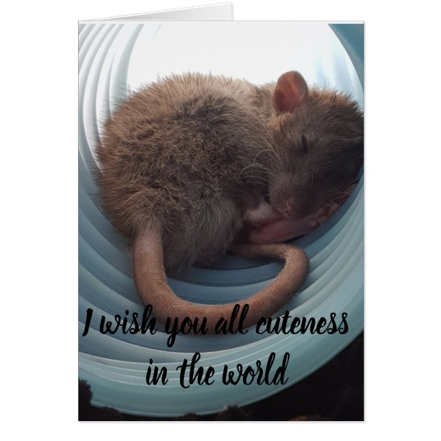 Ich wünsche Ihnen alle Niedlichkeit in der Welt (Vorne)