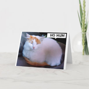 ICH WÜNSCHE MICH, DAS IN PERSON ZUM Geburtstag SAG Feiertagskarte