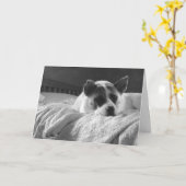 Ich wünschte, du wärest hier. karte (Gelbe Blume)