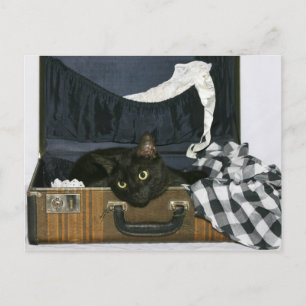 Ich wünschte, du wärest hier postkarte