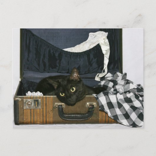 Ich wünschte, du wärest hier postkarte (Vorderseite)