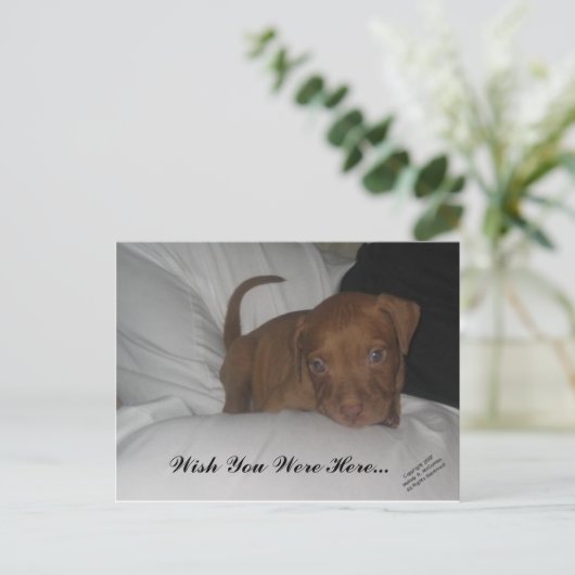 Ich wünschte, du wärest hier.. postkarte (Stehend Vorderseite)