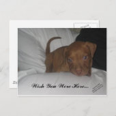 Ich wünschte, du wärest hier.. postkarte (Vorne/Hinten)