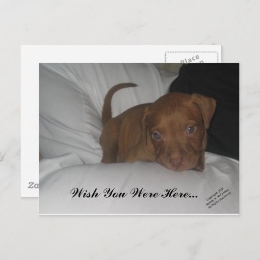 Ich wünschte, du wärest hier.. postkarte (Vorne/Hinten)