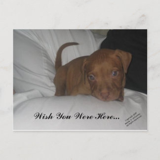 Ich wünschte, du wärest hier.. postkarte