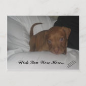 Ich wünschte, du wärest hier.. postkarte (Vorderseite)