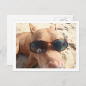 Ich wünschte, du wärest hier postkarte (Vorne/Hinten)