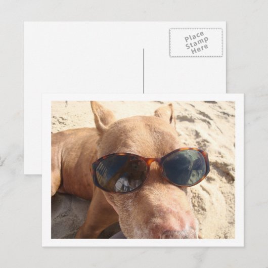 Ich wünschte, du wärest hier postkarte (Vorne/Hinten)