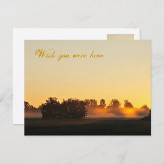 Ich wünschte, du wärest hier postkarte (Vorne/Hinten)