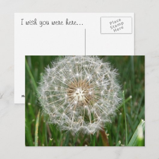 Ich wünschte, du wärest hier postkarte (Vorne/Hinten)