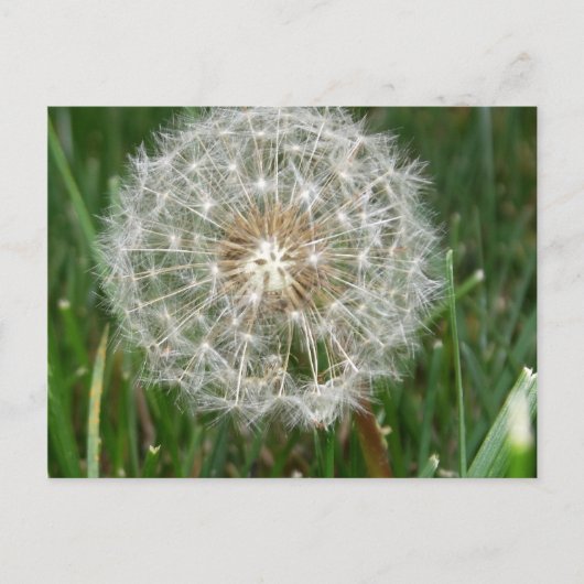 Ich wünschte, du wärest hier postkarte (Vorderseite)