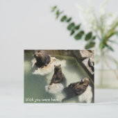 Ich wünschte, du wärest hier postkarte (Stehend Vorderseite)