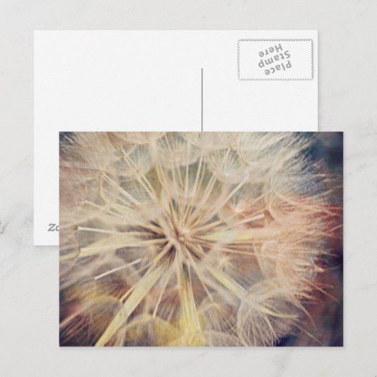 Ich wünschte... - Postkarte (Vorne/Hinten)