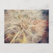 Ich wünschte... - Postkarte (Vorderseite)