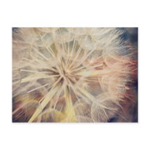 Ich wünschte... - Postkarte