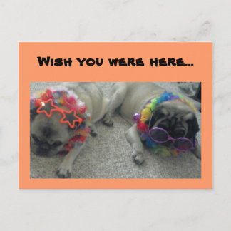 Ich wünschte, Sie wären hier...Postcard. Postkarte