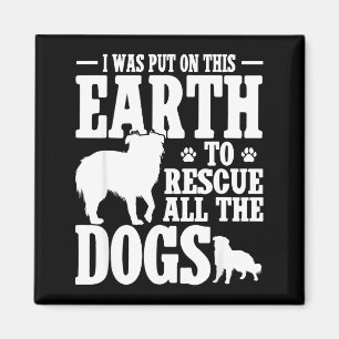 Ich wurde auf diese Erde gesetzt, um alle Hunde zu Magnet
