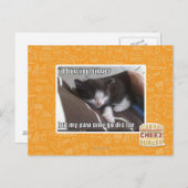 Ich würde dich größer umarmen postkarte (Vorne/Hinten)