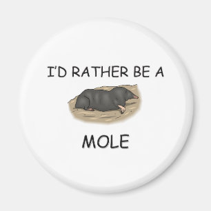 Ich würde eher eine Mole sein Magnet