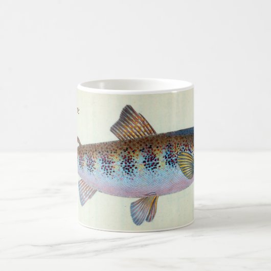 Ich würde eher Forellefischen Tasse sein (Mittel)