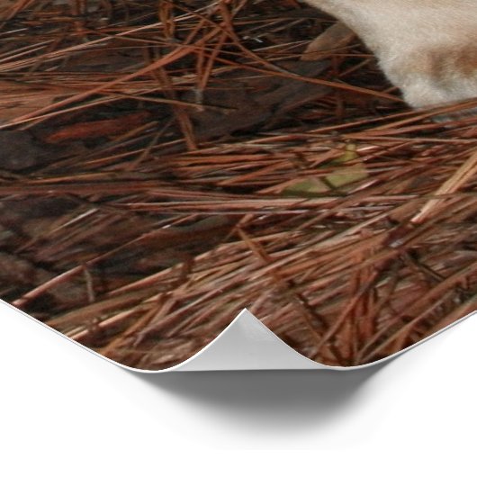 Ich würde eher jagen poster (Ecke)