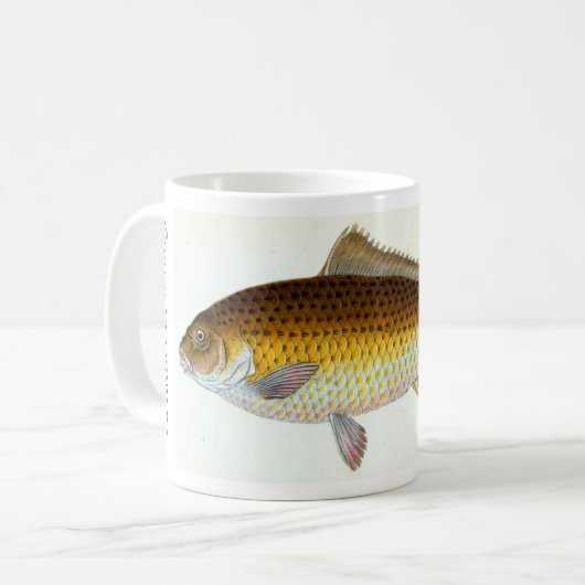 Ich würde eher Karpfenfischen Tasse sein (Vorderseite Links)