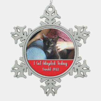 Ich wurde heute adoptiert Schneeflocken-Rahmen-Orn Schneeflocken Zinn-Ornament