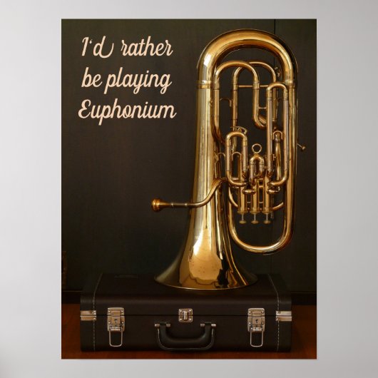 Ich würde lieber Euphonium-Zitat-Messingmusik spie Poster (Vorne)