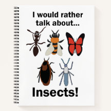 Ich würde lieber über Insekten sprechen Entomologe
