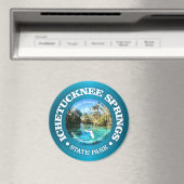 Ichetucknee Springs SP Magnet (In Situ (Geschirrspüler))