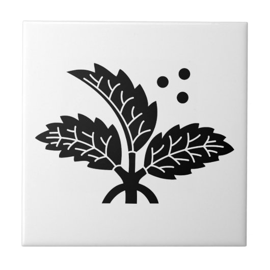 Ichinohashi Holly Fliese (Vorderseite)