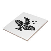 Ichinohashi Holly Fliese (Seite)