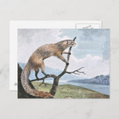 Ichneumon (Mongoose) Kunst, Dichtung und Musik Postkarte (Vorne/Hinten)
