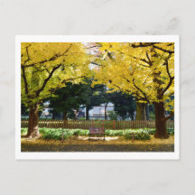 Icho Namiki (Ginkgo Avenue): Tokio, Japan