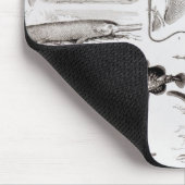 Ichthyologie Elasmobranch, Ganoid Mousepad (Ecke)