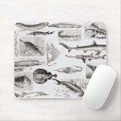 Ichthyologie Elasmobranch, Ganoid Mousepad (Mit Mouse)